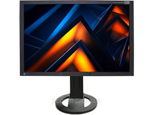 Монитор 24.1' Eizo FlexScan S2401W FullHD VGA/DVI USB-Hub Speakers