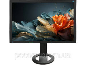 Монитор 24.1' Eizo FlexScan S2402W FullHD VGA/DVI Speakers
