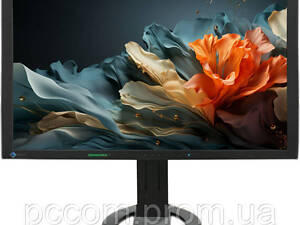 Монитор 24.1' Eizo FlexScan S2402W FullHD VGA/DVI Speakers