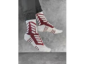 Мужские спортивные носки Thermal серые с бордовыми вставками L