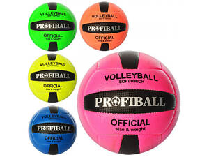Мяч волейбольный Profi 1107ABCDE