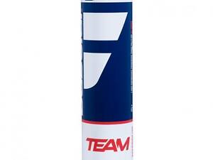 Мячи для большого тенниса Babolat Team metall box 4b Желтый (502035-113)