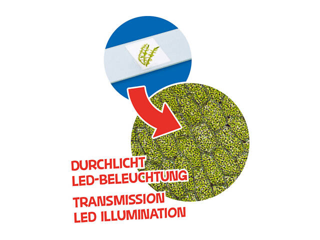 Мікроскоп Bresser Junior 40x-640x Orange (8851301) - Фото 7