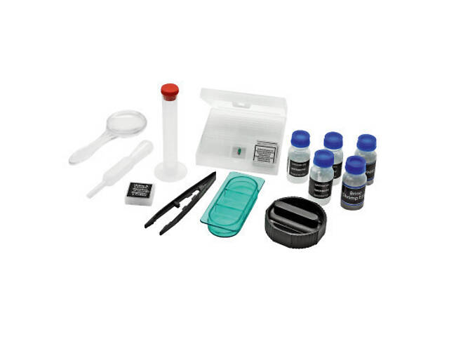 Мікроскоп National Geographic 40x-640x з адаптером для смартфона (922416) - Фото 5