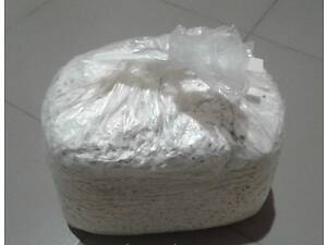 Мицелий Вешенки 2 кг (hub_pbeq41471)