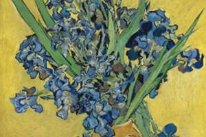 Набір Алмазна мозаїка вишивка Іриси Вінсент ван Гог Постімпресіоніз півники сині підрамнику 5d 40х50
