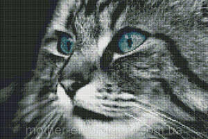 Набір Алмазна мозаїка вишивка Смарагдові очі Чорний кіт кішка на підрамнику повна викладка 5d 40х50 см