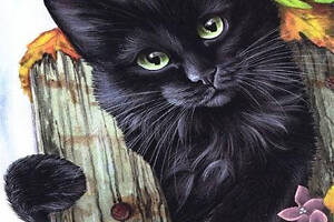Набір алмазної мозаїки вишивки 'Кішка в квітах' чорний райдужний кішка повна викладка 5d набори 30х40 см