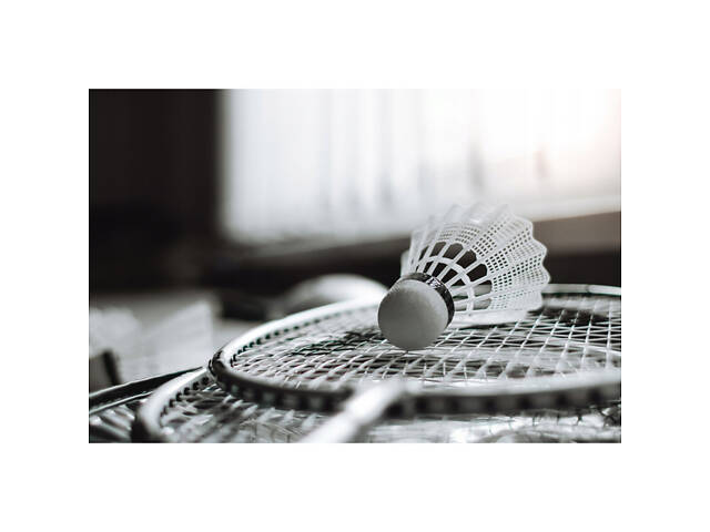 Набір для бадмінтону SportVida Pro 4 шт ракетки + 2 шт волани + сітка SV-SE0003 - Фото 2