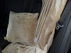 Набір для подорожі Ecotton 2 в 1 Подушка 40х40 плед 110х140 бежевий Beige