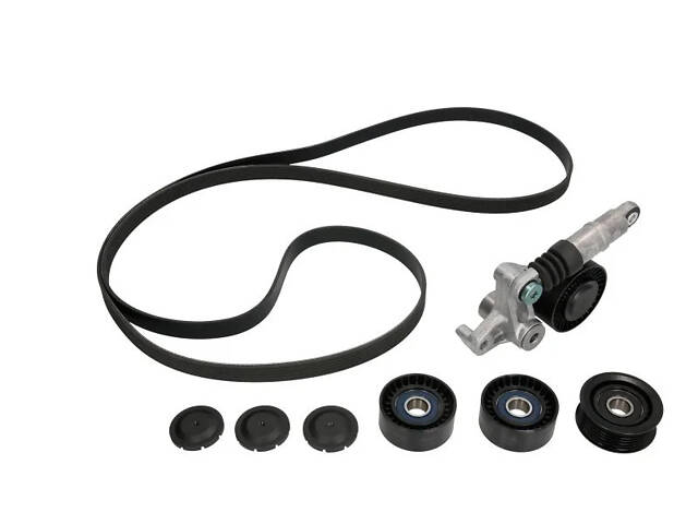 Набір поліклинових ременів (із шківами) INA 529 0209 10 Audi A6, A4, Allroad, Q7, A8 059145201D, 059145201F, 059145201H - Фото 1