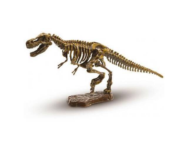 Набір для експериментів Ses Дослідник Розкопки скелета Тираннозавра (25028S) - Фото 2