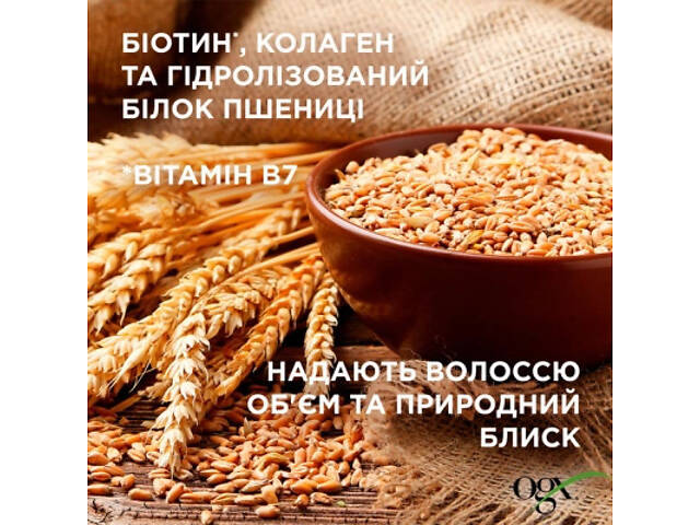 Набір косметики OGX Біотинова формула з колагеном для об'єму та зміцнення волосся Шампунь + Кондиціонер (3574661864952) - Фото 5