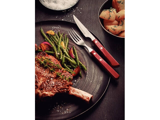 Набор столовых приборов Tramontina Barbecue Polywood 12 предметів червоне дерево (21199/709) - Фото 4