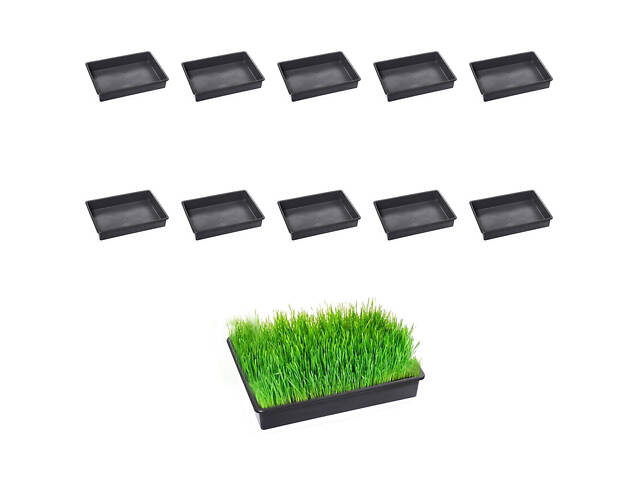 Набор из 10 лотков (поддонов) для рассады 38х26х7 см - Фото 1