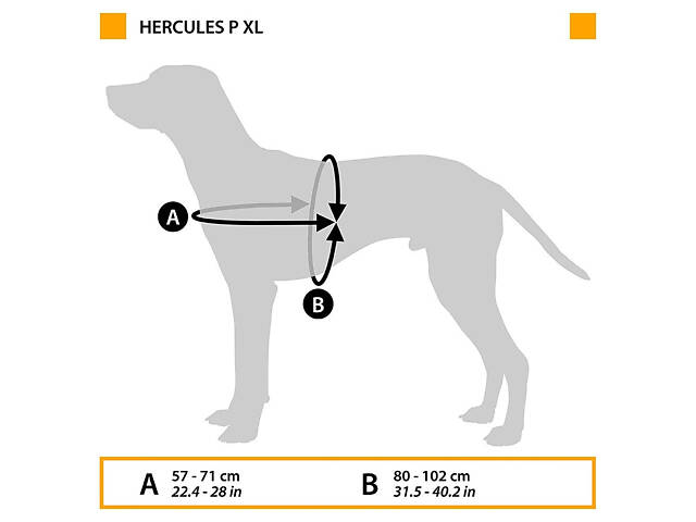 Нагрудная светоотражающая шлейка для собак из высокопрочного нейлона Ferplast Hercules Р (Ферпласт Геркулес П) XL - A: 5 - Фото 2