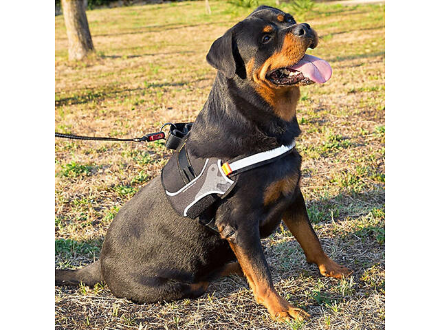 Нагрудная светоотражающая шлейка для собак из высокопрочного нейлона Ferplast Hercules Р (Ферпласт Геркулес П) XL - A: 5 - Фото 10