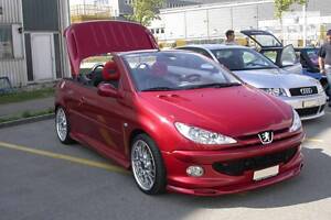 Накладка передняя Peugeot 206 (DT06490)