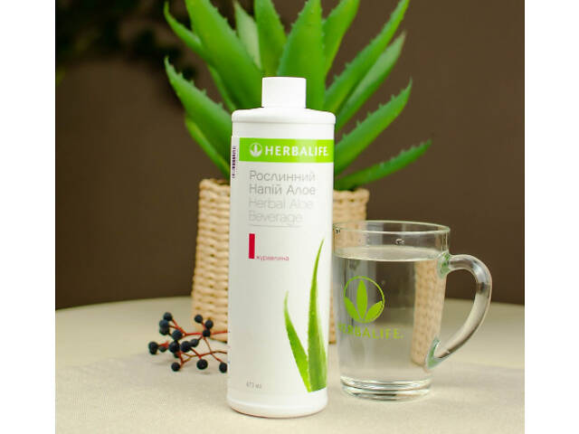 напій для схуднення - Фото 2