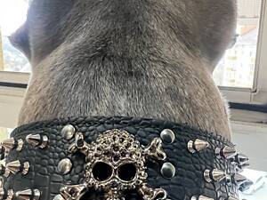 Нашийник для крупної собаки