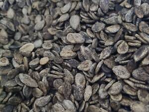 Насіння кавуна Чарльстон Грей