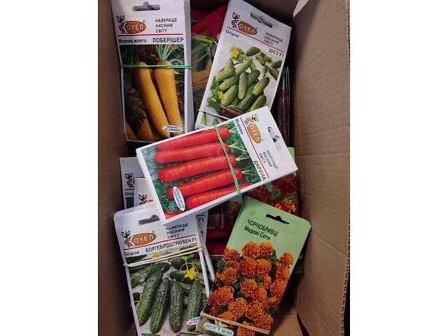 Насіння овочів Голландія, Італія, Німеччина та інші виробники - Фото 2