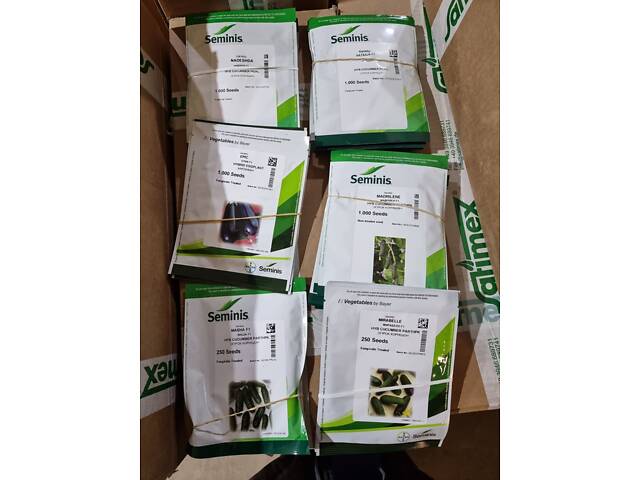 Насіння овочів Голландія, Італія, Німеччина та інші виробники - Фото 4