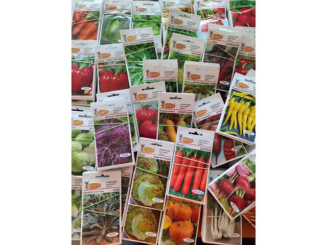Насіння овочів Голландія, Італія, Німеччина та інші виробники - Фото 7