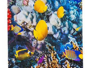 Настінний нагрівач Тріо 400 Вт, Кораловий риф