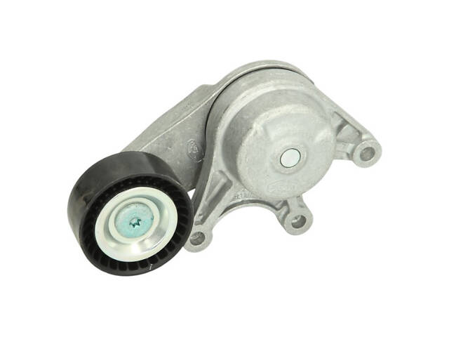 Натяжитель ремня BMW 1 series 2010-2024 INA 534 0535 10 - Фото 1