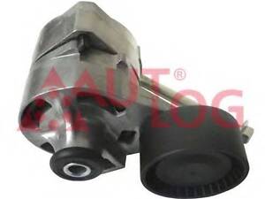 Натягувач ременя генератора Transit 2.4TDCi 06- AUTLOG RT1818 на FORD TRANSIT автобус