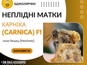 Бесплодные пчеломатки
