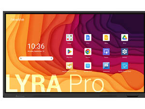 Newline Lyra Pro 65''