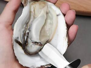 Нож для устриц RESTEQ 17 см устричный нож нержавеющая сталь профессиональный нож для разделки устриц