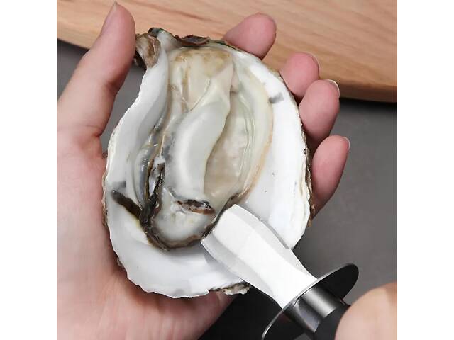 Ніж для устриць RESTEQ 17 см устричний ніж нержавіюча сталь професійний ніж для розкриття устриць - Фото 1