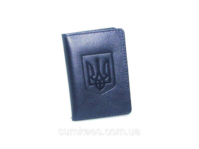 Обложка для документов (ID паспорт) DNK mini doc R-Gerb col.K синяя - Фото 1