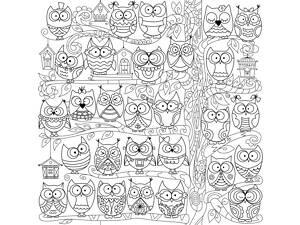 Шпалери-розмальовки Сови 60*60 C-60015