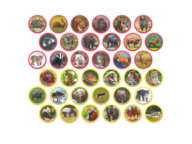 Навчальний набір DoDo Магнітний набір Монтессорі Тварини на континентах: Євразія (200285) - Фото 3