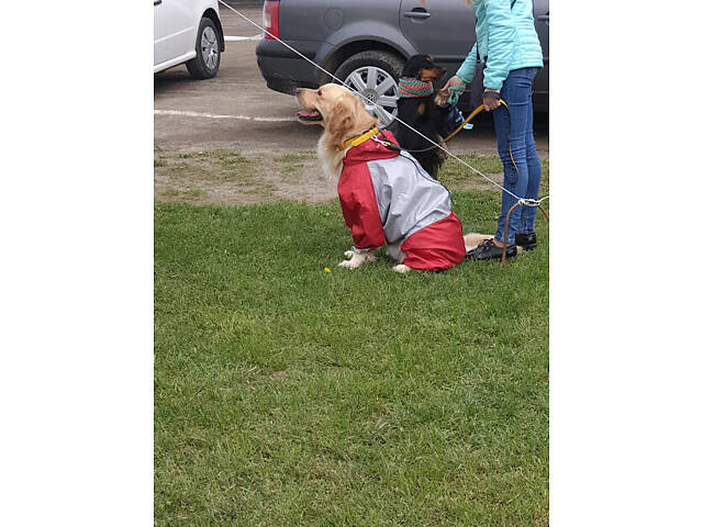 Одежда для собак дождевик плащевый красный+серый №7 72х116 - Фото 6