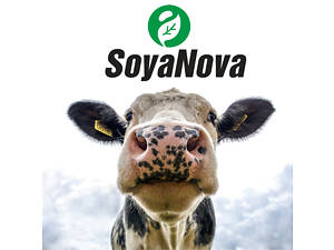 Олія Соєва нерафінована