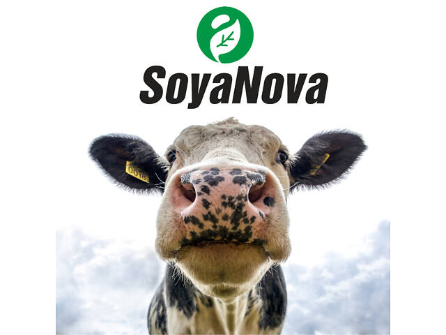 Олія Соєва нерафінована - Фото 1