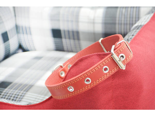 Нашийник для собак шкіра 3.0/40-50 - Фото 1