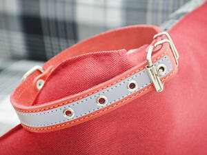 Ошейник для собак кожаный со светоотражательной лентой 49-60