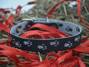 Ошейник для собак 'Лапки' 2,5/36-45