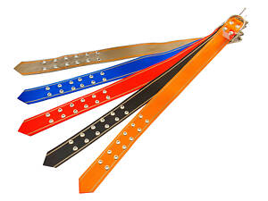 Нашийник капроновий Alan 40 x 650мм одинарний (А-ОКО40650)