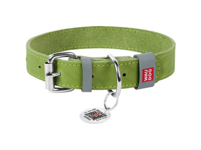 Нашийник для тварин WAUDOG Classic шкіряний 35 мм х 46-60 см салатовий (02395) - Фото 1