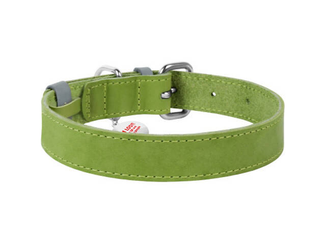 Нашийник для тварин WAUDOG Classic шкіряний 35 мм х 46-60 см салатовий (02395) - Фото 2