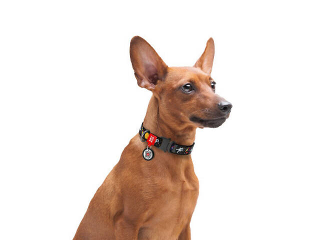 Нашийник для тварин WAUDOG Nylon з QR паспортом NASA металева пряжка-фастекс S (5119) - Фото 6