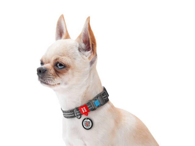 Нашийник для тварин WAUDOG Re-cotton з QR паспортом світловідбиваючий Ш 25 мм Д 33-49 см сірий (029211) - Фото 5