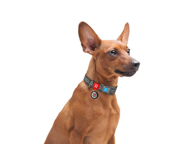 Нашийник для тварин WAUDOG Re-cotton з QR паспортом світловідбиваючий Ш 25 мм Д 33-49 см сірий (029211) - Фото 6